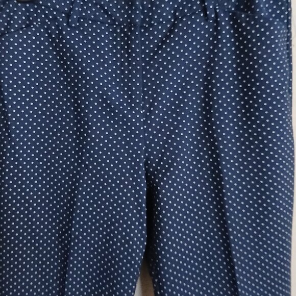 Seventh Ave Blue Polka Dot Pants - Picture 2 of 5